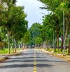 Bán lô đất 100% thổ cư mặt tiền đường lớn 6x16 có vỉa hè đường rộng 13m
