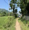 Bán đất Kim Bôi, Hoà Bình 2931m2 thổ cư 1800m2 View cánh đồng siêu đẹp