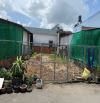 BÁN ĐẤT (8x21) THỔ CƯ THỚI TAM THÔN, HÓC MÔN VỊ TRÍ ĐẸP