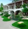 Bán nhà mặt tiền Dương Quảng Hàm, đường 40m, Quận Gò Vấp, 5523m2