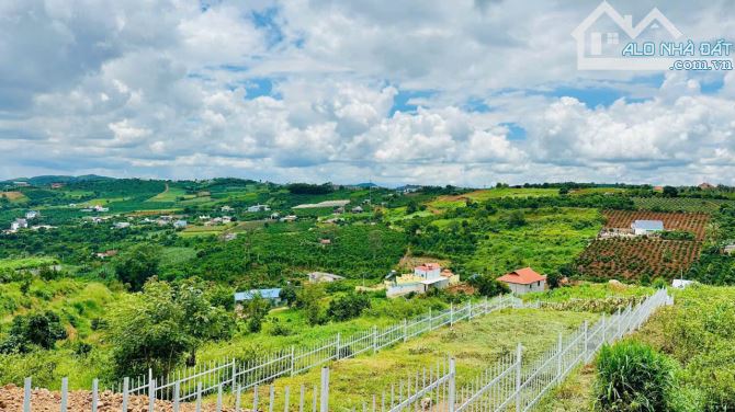 SỔ HỒNG RIÊNG 711M2 , 250M2 THỔ CƯ . VIEW TRỰC DIỆN ĐỒI THÔNG , GIÁ BÁN TỐT NHẤT KHU VỰC
