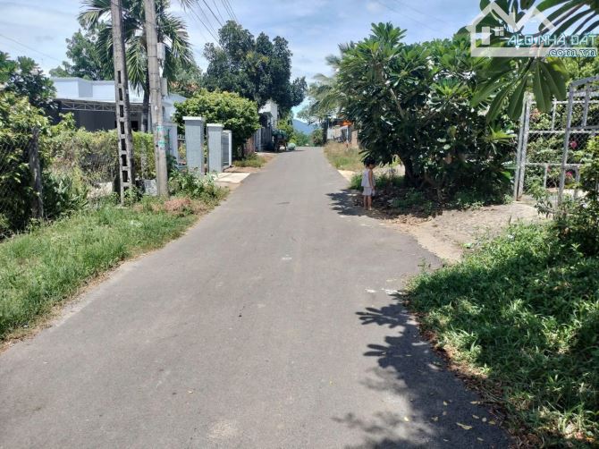 Cắt bán lô đất tâm huyết 294m2 đường nhựa rộng 6m trung tâm xã diên lâm