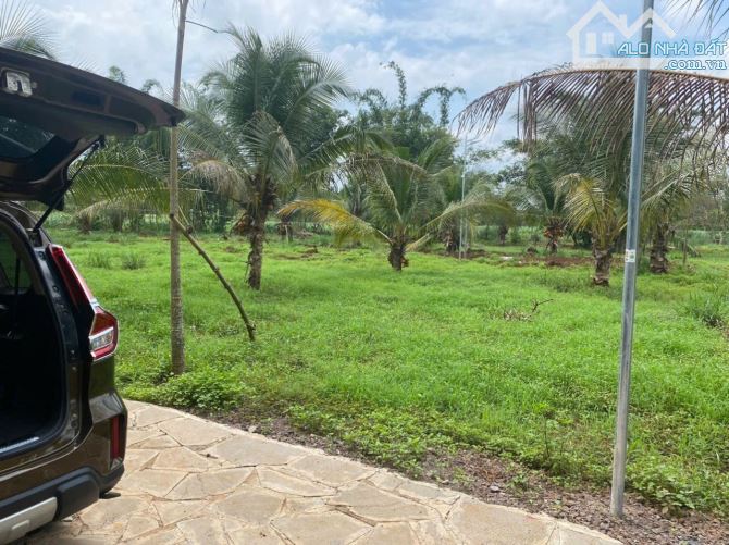 Bán gấp 2lô đất 586m2 Xuân Quế, shr full thổ, ô tô, gần Cao tốc Long Thành, chỉ 4tỷ TL