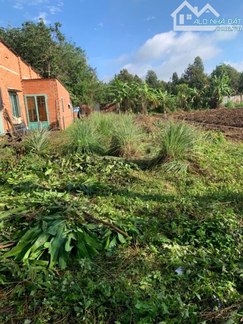 Bán đất sau chợ An Linh 171m thổ cư 100m