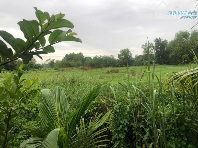 BÁN ĐẤT HỖN HỢP DẦU TIẾNG - CƠ HỘI ĐẦU TƯ LỚN