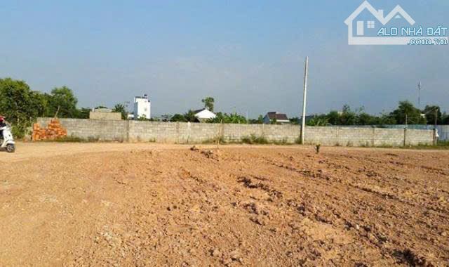 ✅ Bán 2500m2 đất Hàm Kiệm giá 450k/m2 tl