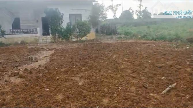 Bán đất mặt đường Ao vua, Tản Lĩnh, Suối hai, Ba Vì, 435m, vuông, nở hậu, chỉ 3.45tỷ