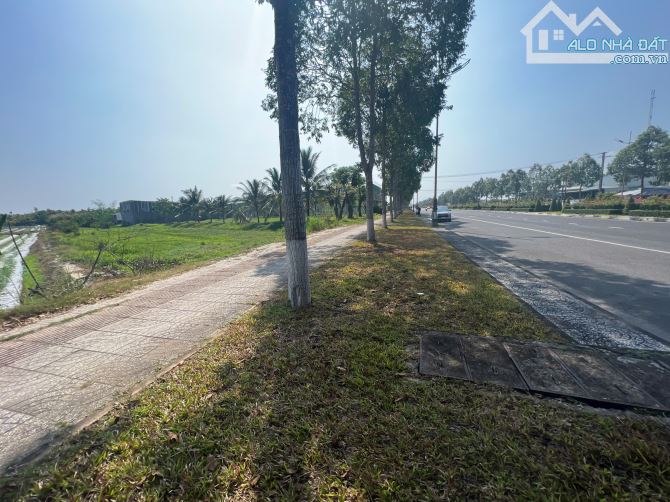Đất ở đô thị kết hợp đất lâu năm tại Cần Thơ – diện tích lớn, pháp lý rõ ràng