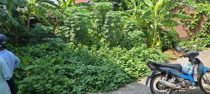 ⛳BÁN LÔ THỔ CƯ GIÁ RẺ LIÊN ẤP, VIỆT ĐOÀN GẦN QH TỔ HỢP ĐẠI HỌC MT 11M DT 85M2 GIÁ 1.43 TỶ