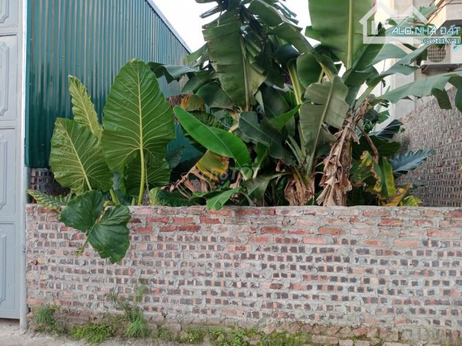 Dat Dong Anh ô tô vào, 68m. MT 4.6m, sổ đỏ full, bán nhanh 4 tỷ