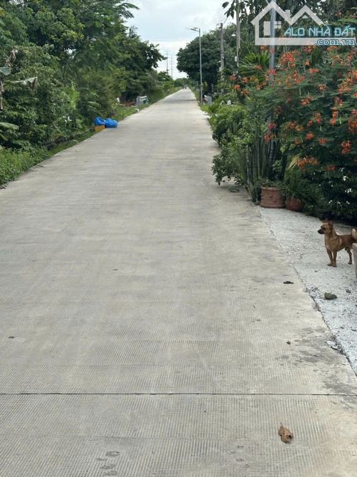 Bà Điểm(XTT- HM) bán nhà C4 diện tích 112m2 2PN gần Nguyễn Văn Bứa, vành đai 3 giá 2,5tỷ.