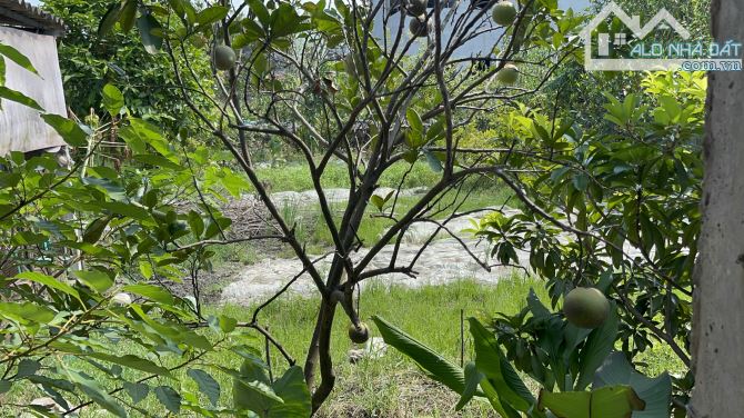 Chính chủ gửi bán lô đất siêu đẹp tại Xuân dục
