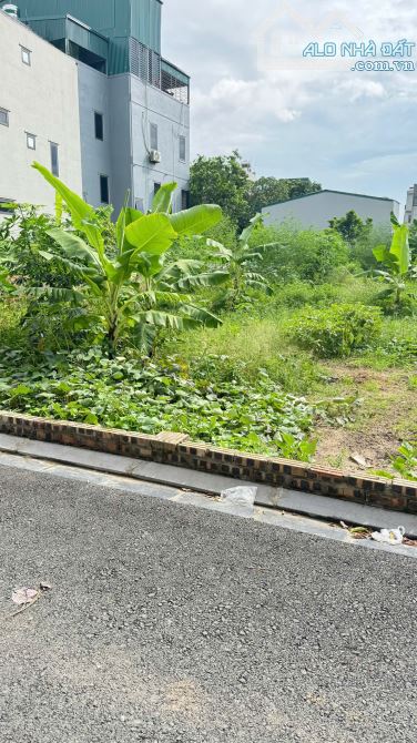 💥 ĐẤT MAI LÂM GIÁ SIÊU TỐT – MUA 1 LẦN, SINH LỜI CẢ ĐỜI – KHÔNG XEM LÀ PHÍ! 🔍