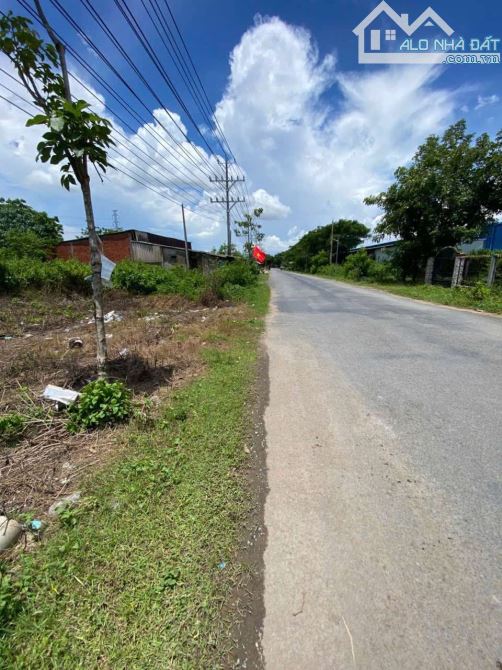 Đất mặt tiền huyện lộ 20 xã Long Sơn Cầu Ngang Trà Vinh cũ. - 2