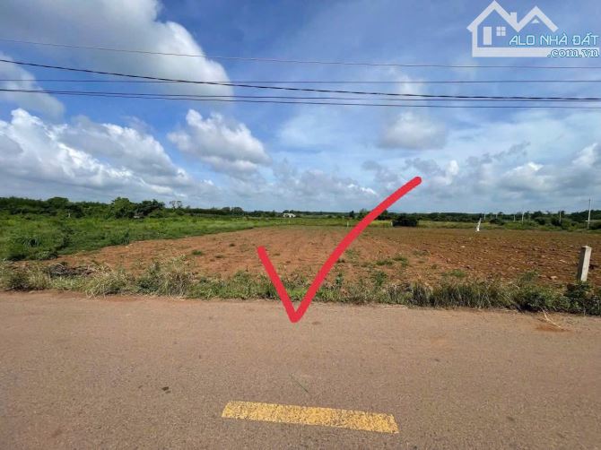 Lô đất vuông đẹp  1000m2, ( 16 x 65) , sẵn 81m2 thổ cư  - Đường Tháp Nước  , cách Quốc Lộ - 1