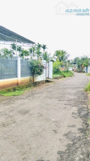2 lô sau chợ eakao - Thôn Tự Thành - 1