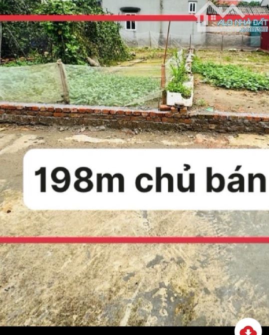 BẤT ĐỘNG SẢN -Hà NỘI -PHẠM TÍN   🏡 CẦN BÁN GẤP ĐẤT TẠI THÔN BẮC VỌNG  – XÃ BẮC PHÚ – SÓC - 1