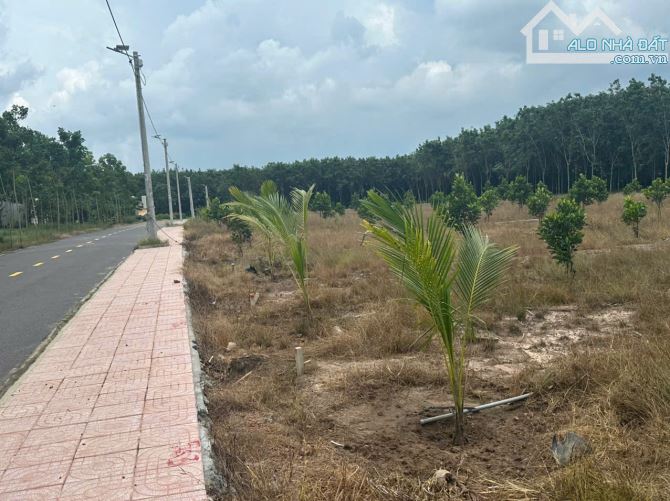 10m ngang 600m2 cách trường cấp 2 800m mặt tiền đường nhựa - 1
