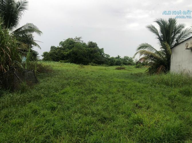 BÁN ĐẤT HỖN HỢP DẦU TIẾNG - CƠ HỘI ĐẦU TƯ LỚN - 1