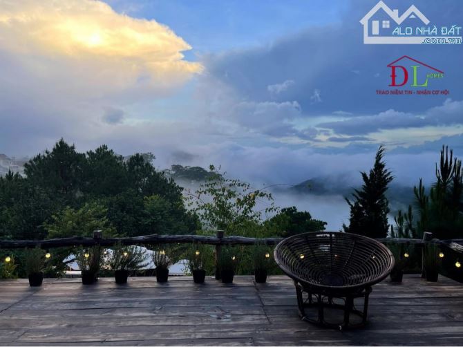 🌟🌟🌟Bán đất 2600m² Trần Quang Diệu ngay trung tâm view ngàn thông xanh vĩnh viễn . - 1