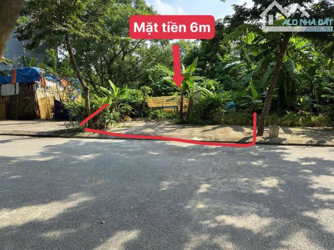 🌹BÁN GẤP lô đất trung tâm phường Hội Hợp DT84m mt6m nở hậu 6,2m full thổ cư 2,2tỷ - 1