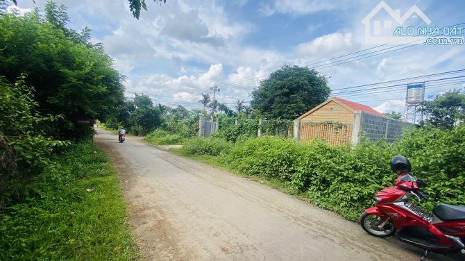 ĐẤT TRỤC CHÍNH ĐƯỜNG NHỰA BUÔN KOMLEO PHƯỜNG TÂN LẬP ĐĂK LĂK - 1