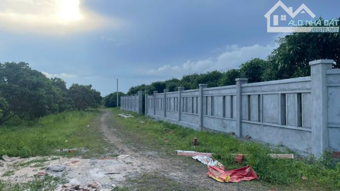 [Bán Đất Phước Tân – Xuyên Mộc] 3027m2 trung tâm Phước Tân giá tốt - 1