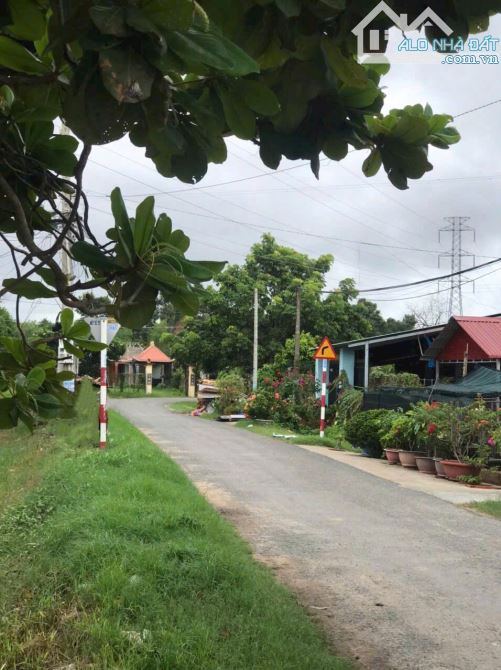 Cần tiền bán nhanh lô đất full thổ 300m2, giá 550 triệu gần KCN Trảng Bàng, sổ hồng riêng - 1