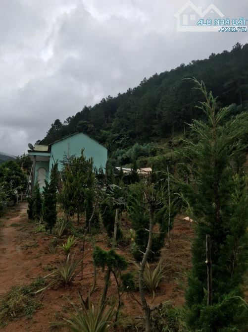 cần bán 1000m2 nn Tà Nung Đà Lạt - 1.3 tỷ - 1