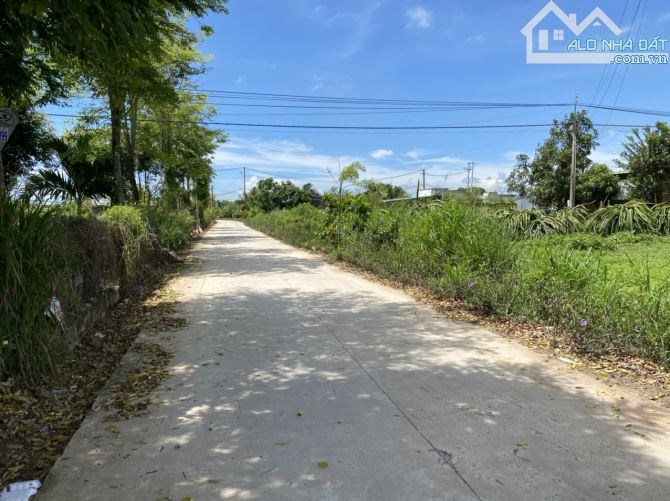 ✅ Bán 2500m2 đất Hàm Kiệm giá 450k/m2 tl - 1