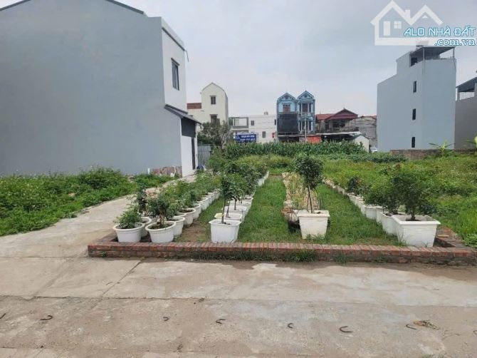 LÔ Góc Siêu Đẹp, Tổ 10 TT Quang Minh, Ngõ Thông Ô Tô - 1