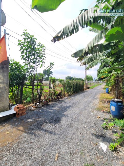 1,85Tỷ TL🔥Bán đất 95m2 cách đường Phạm Văn Diêu 100m, p.Tân Hạnh, Tp.Biên Hòa _Gần Dĩ An - 1
