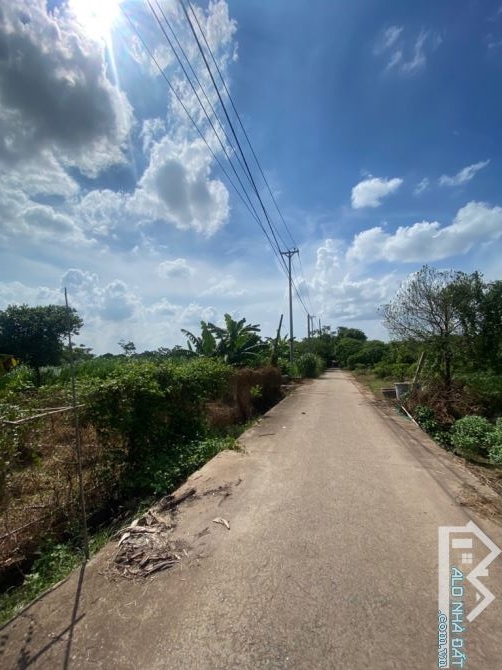Lô đất diện tích hơn 1000m², mặt tiền rộng, ô tô ra vào thoải mái. - 1