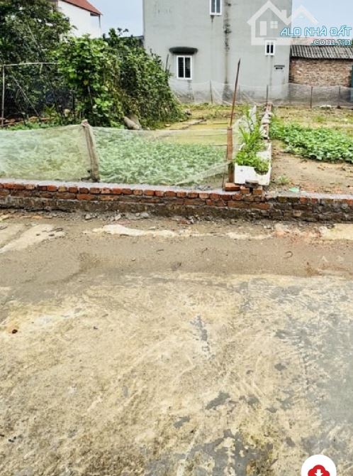BẤT ĐỘNG SẢN -Hà NỘI -PHẠM TÍN   🏡 CẦN BÁN GẤP ĐẤT TẠI THÔN BẮC VỌNG  – XÃ BẮC PHÚ – SÓC - 2
