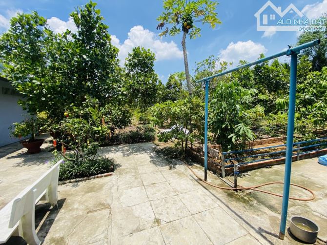 2257m2 đất sát mặt tiền Đào Sư Tích Giáp Q7 Gấp bán giá tốt - 2