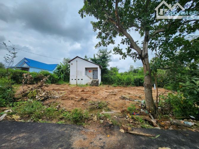 Cần bán 573m2 đất mặt tiền, sẵn 200m2 thổ cư, ngay khu dân cư hiện hữu Phước Tân Xuyên Mộc - 2
