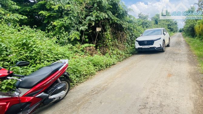 ĐẤT TRỤC CHÍNH ĐƯỜNG NHỰA BUÔN KOMLEO PHƯỜNG TÂN LẬP ĐĂK LĂK - 2