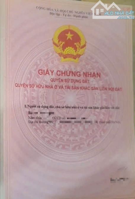 Mảnh đất phân lô ở phố Thanh Đàm, Hoàng Mai - 2