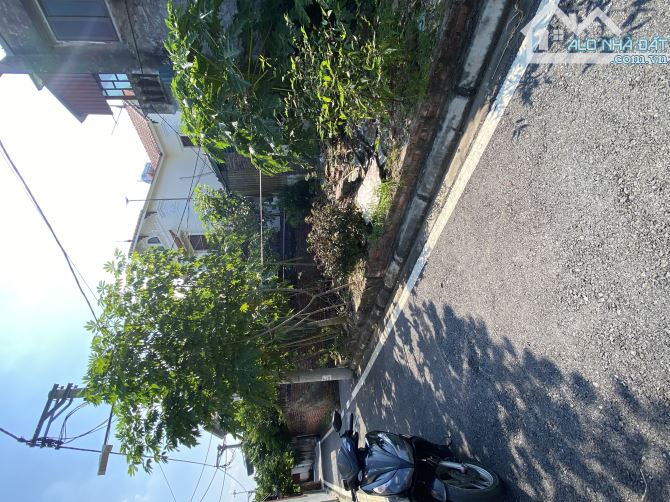 Đất Gia Lâm, 56m Lô Góc, Ô tô Vào Đất, Nhỉnh 3 Tỷ - 2