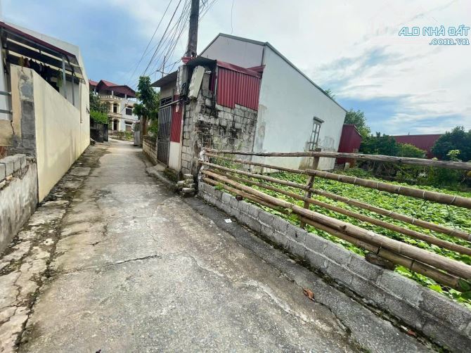 Hàng ngon giá tốt nhất khu Đấu giá Tân Dân - xã Triệu Việt Vương (Khoái Châu cũ) vị trí cự - 2