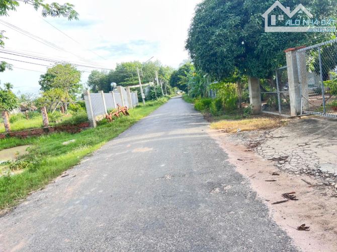 Bán đất khu phố 3 Thị Trấn Tân Biên, dt 12x45m thổ 100m2 giá 180tr 1mét ngang - 2