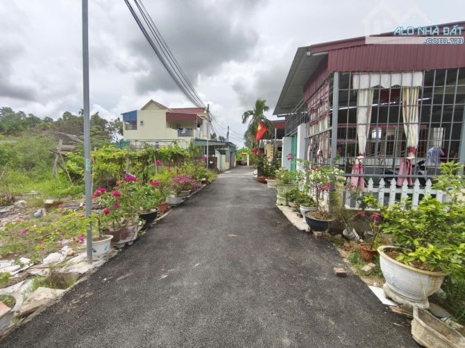 Lô đất rẻ đẹp 53,5 m2 ngang 4,3m tại Tư Thuỷ,Hoà Nghĩa ngõ trải nhựa,ô tô đỗ trước đất . - 2