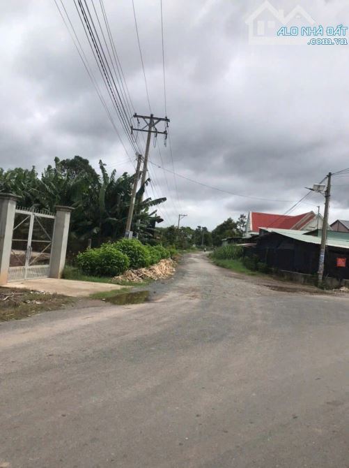 Cần tiền bán nhanh lô đất full thổ 300m2, giá 550 triệu gần KCN Trảng Bàng, sổ hồng riêng - 2