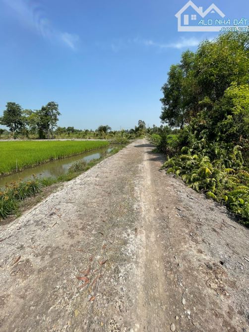 Bán đất 6000 m2 tại xã Hòa Khánh Nam, Long An cách TPHCM 40km - 2
