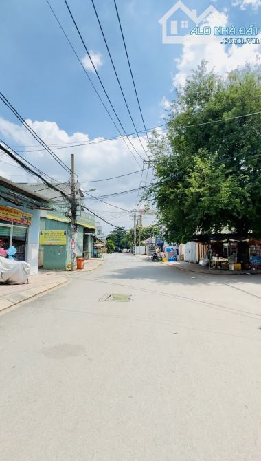 Hiếm đất lớn xây CHDV Đường Linh Trung, P.Linh Trung, Thủ Đưc. 375m2/23.5 tỷ - 2