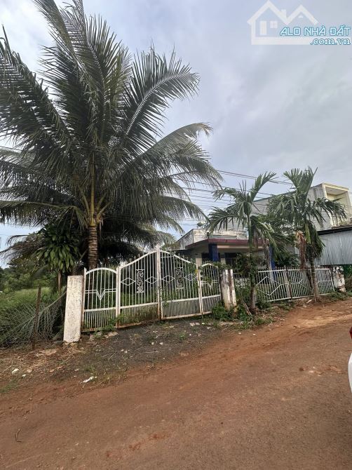 Bán 2 lô đất Liền Kề 2 mặt tiền trước sau Đường Dã Tượng - Tân An - Đường QH 24M - 2