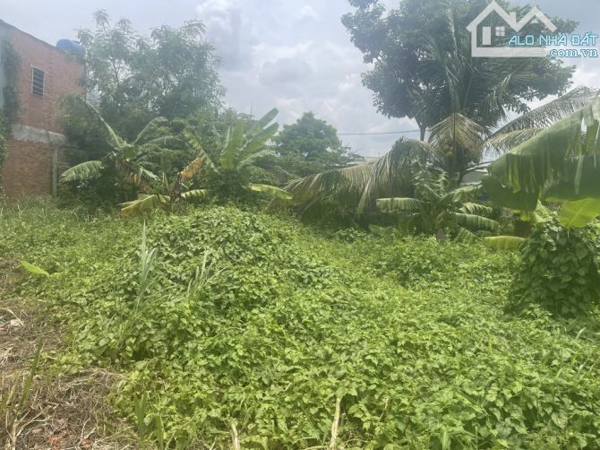 Bán đất MT Phạm Thị Giây 8,268m2 chỉ  99.22 tỷ Thới Tam Thôn Hóc Môn - 2