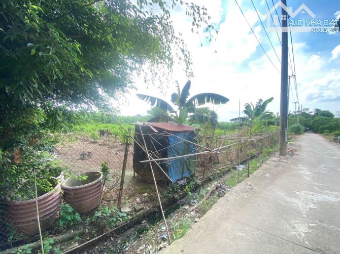 Lô đất diện tích hơn 1000m², mặt tiền rộng, ô tô ra vào thoải mái. - 2
