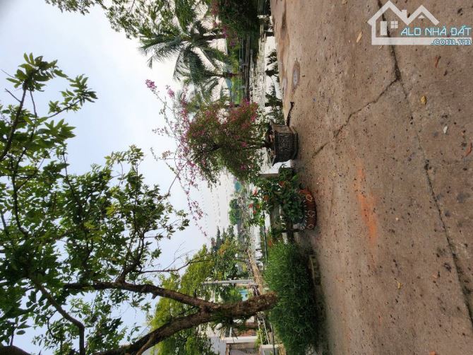 Hàng F0-Dân Cắt Bán-Gần Trường Học.Bán Đất Đặng Xá,Dt 80m,Giá 4.4 Tỷ. - 2