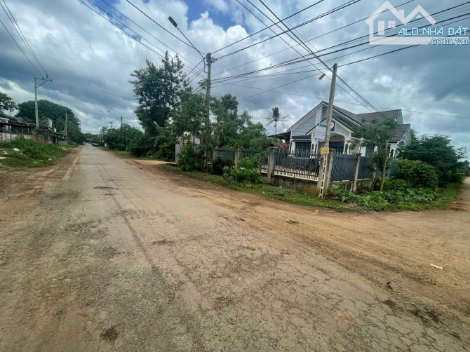 Bán 04 lô liền kề mặt tiền Vành Đai 14/26 đoạn đầu buôn Kotam - 2